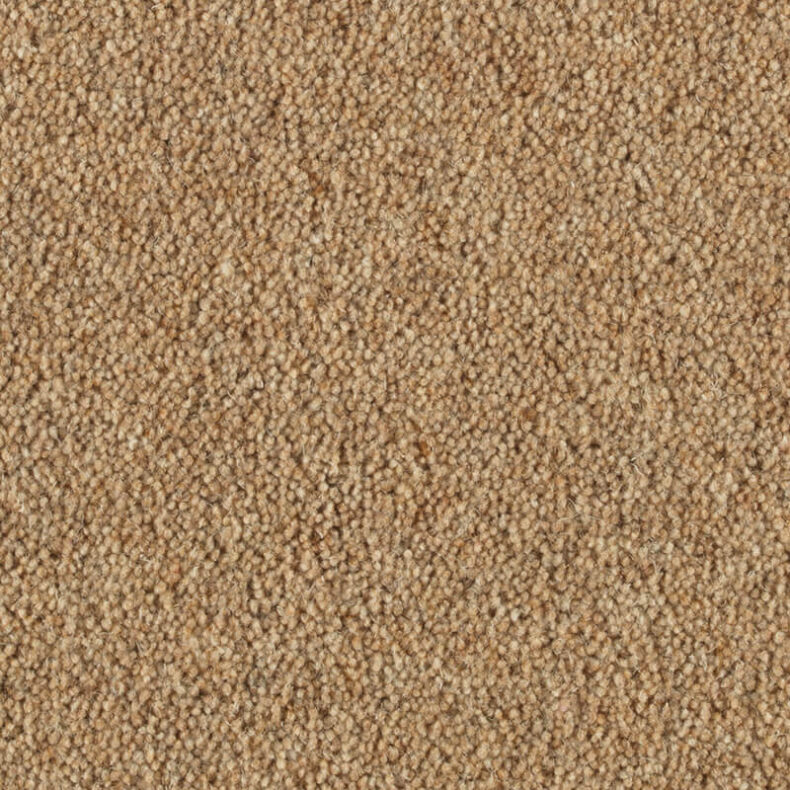 Vermont Carson carpet by Penthouse Carpets