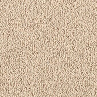 Pentwist Cashew carpet by Penthouse Carpets