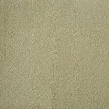 Silken Velvet Collection Cashmere carpet by Westex