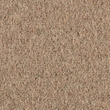 Shoreline Castaway carpet by Penthouse Carpets