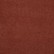 Silken Velvet Collection Cello carpet by Westex