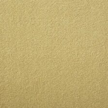 Silken Velvet Collection Chamois carpet by Westex