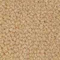 Westend Velvet Collection Champagne carpet by Westex