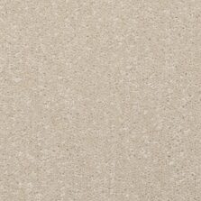 Dimensions Plain Champagne carpet by Brockway Carpets