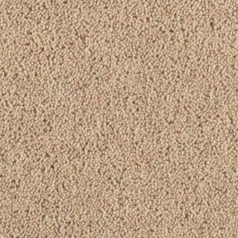 Pentwist Champagne carpet by Penthouse Carpets