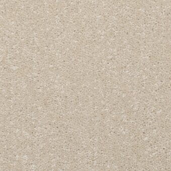 Dimensions Plain Champagne carpet by Brockway Carpets