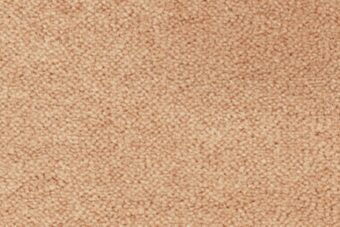 Ulster Velvet Champagne carpet by Ulster Carpets