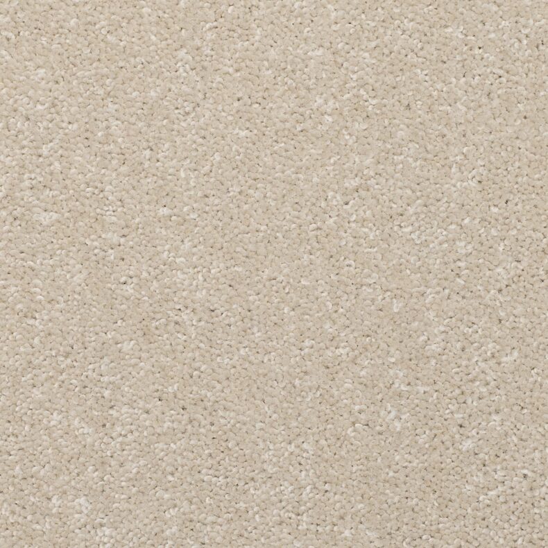 Dimensions Plain Champagne carpet by Brockway Carpets