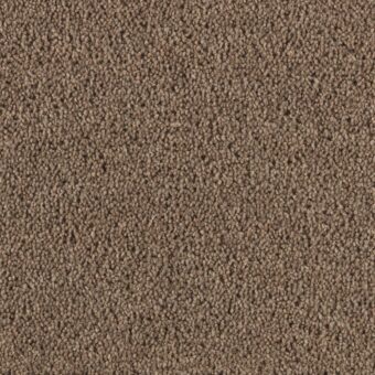 Super Maxim Chanterelle carpet by Penthouse Carpets