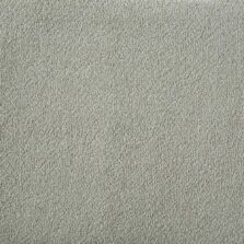 Silken Velvet Collection Charm carpet by Westex