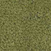 Westend Velvet Collection Chartreuse carpet by Westex