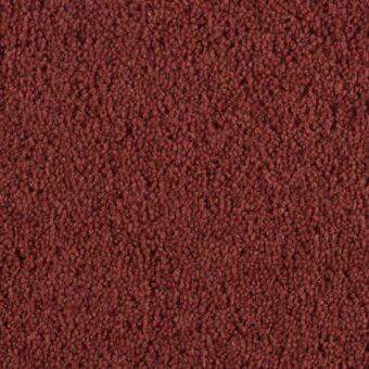Pentwist Cherry carpet by Penthouse Carpets