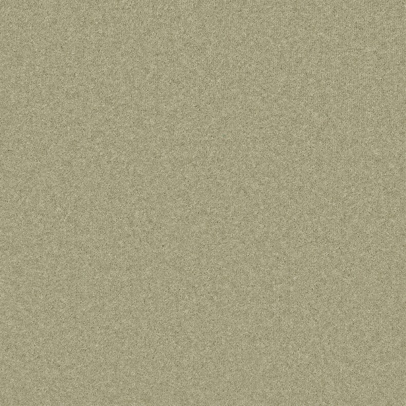 Pembroke Chervil carpet by Cormar Carpets