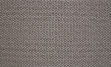 Wool Pearl Chic Steel WP105 carpet by Crucial Trading