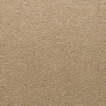 Stateside Chicago carpet by Penthouse Carpets