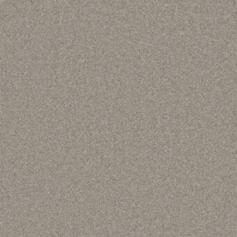 Pembroke Chrome carpet by Cormar Carpets