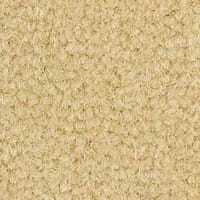 Westend Velvet Collection Cider carpet by Westex