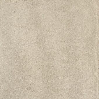 Scenario Classic Cream carpet by Elements London