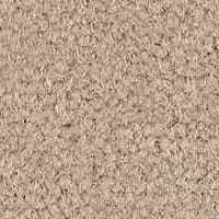 Westend Velvet Collection Clay carpet by Westex