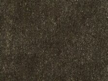 Campeone Collection Gloss Clay carpet by ITC