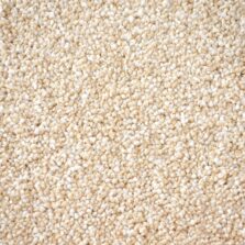 First Impressions Clean Cut carpet by Victoria Carpets