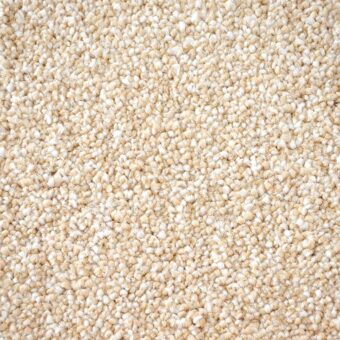 First Impressions Clean Cut carpet by Victoria Carpets