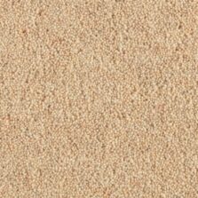 Shoreline Cockleshell carpet by Penthouse Carpets
