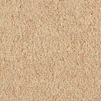 Shoreline Cockleshell carpet by Penthouse Carpets