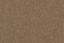 Grange Wilton Coir carpet by Ulster Carpets