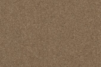 Grange Wilton Coir carpet by Ulster Carpets