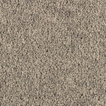 Super Maxim Colt Grey carpet by Penthouse Carpets