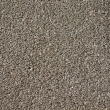 First Impressions Confident carpet by Victoria Carpets