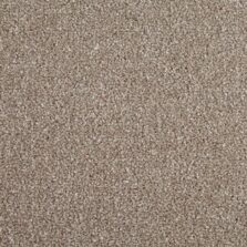 Primo Choice Cookie carpet by Cormar Carpets