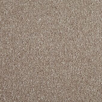 Primo Choice Cookie carpet by Cormar Carpets