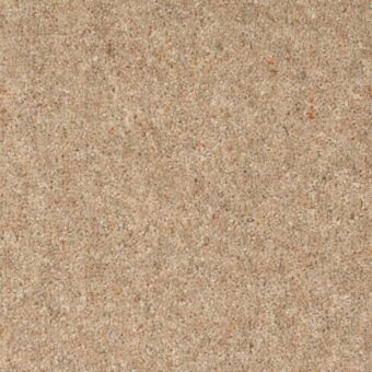 Dimensions Heathers Cookie Dough carpet by Brockway Carpets
