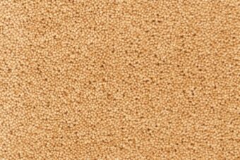 York Wilton Corn carpet by Ulster Carpets