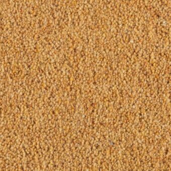 Carlton Cornhusk carpet by Penthouse Carpets