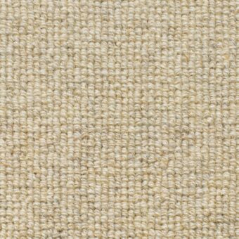 Rare Breeds Loop Cotton carpet by Brockway Carpets