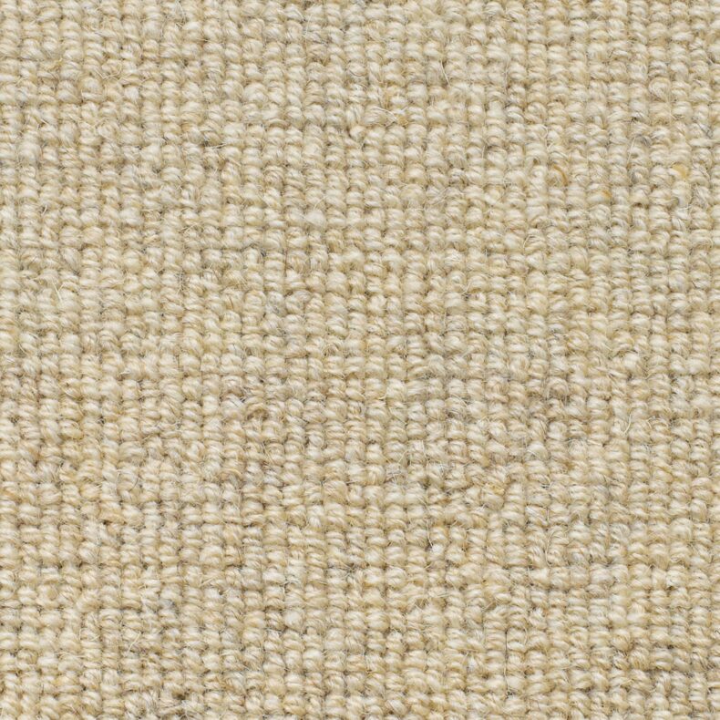 Rare Breeds Loop Cotton carpet by Brockway Carpets