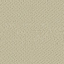 Wool Snug Cotton White SN500 carpet by Crucial Trading