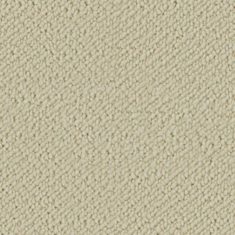 Wool Snug Cotton White SN500 carpet by Crucial Trading