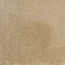Synergy Dairy Cream carpet by Elements London
