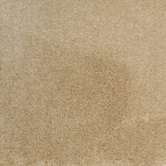 Synergy Dairy Cream carpet by Elements London