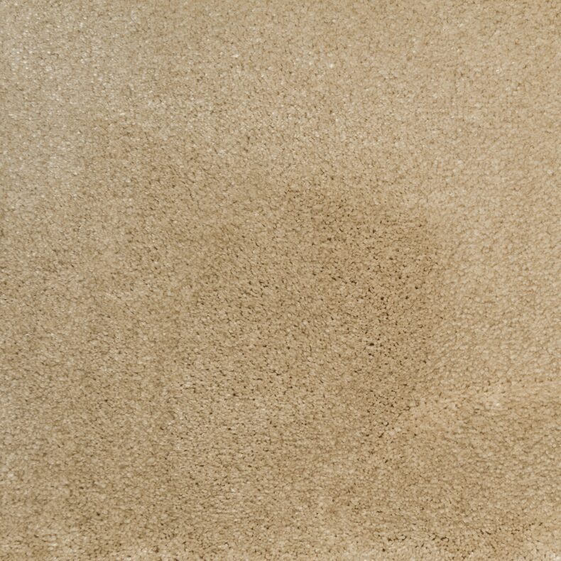 Synergy Dairy Cream carpet by Elements London