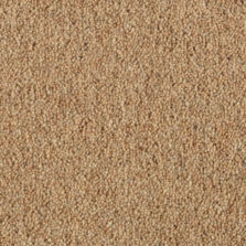 Vermont Dallas carpet by Penthouse Carpets