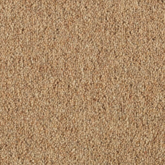Vermont Dallas carpet by Penthouse Carpets