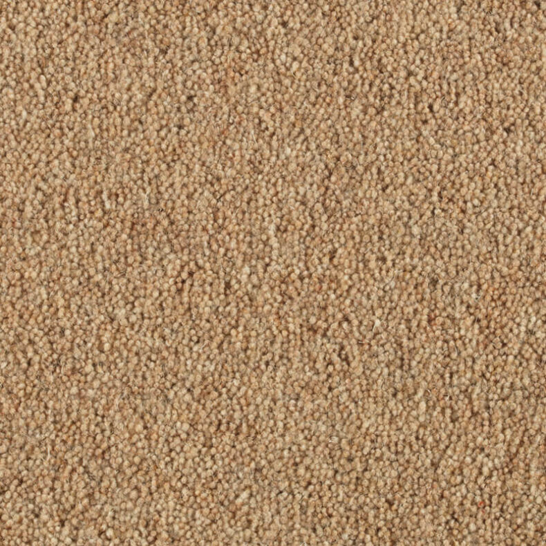 Vermont Dallas carpet by Penthouse Carpets