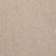 Dimensions Plain Dark Tusk carpet by Brockway Carpets
