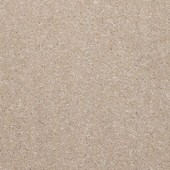 Dimensions Plain Dark Tusk carpet by Brockway Carpets