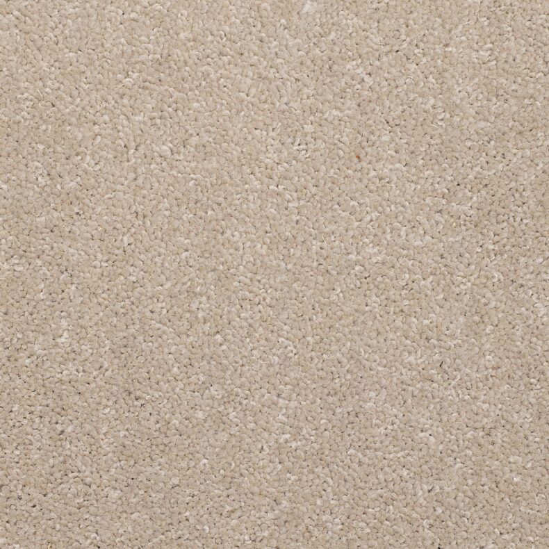 Dimensions Plain Dark Tusk carpet by Brockway Carpets